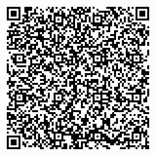 vCard 79034000539