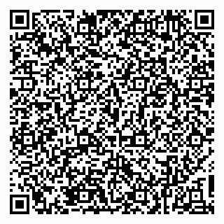 vCard 79034001029