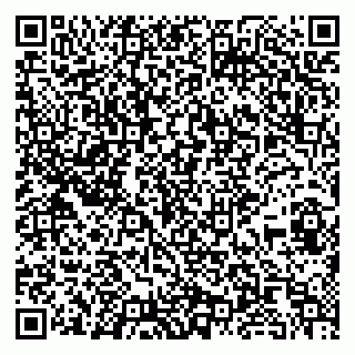 vCard 79035001033