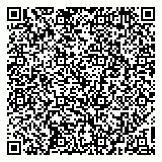 vCard 79035001089