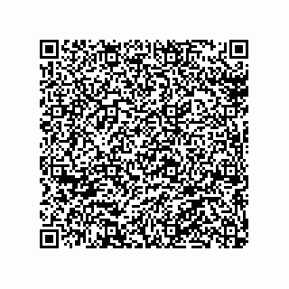 vCard 79036000003