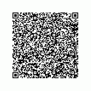 vCard 79036000201