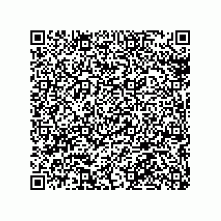 vCard 79036000211