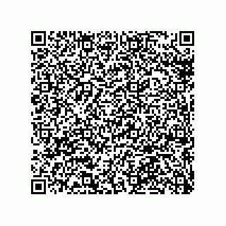 vCard 79036000294