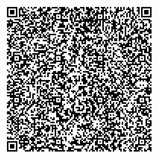 vCard 79036381411