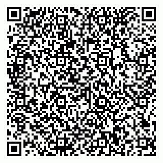 vCard 79036470273
