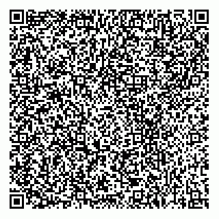 vCard 79036470303