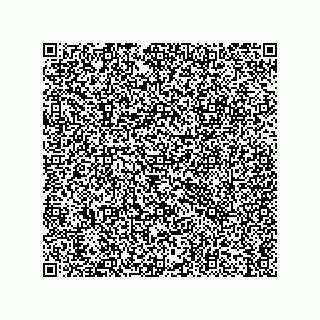 vCard 79038080001