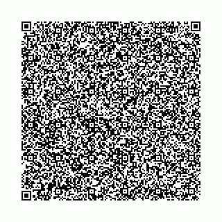 vCard 79038080201