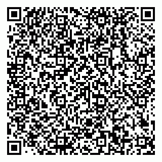 vCard 79038300039