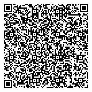 vCard 79038300399