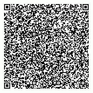 vCard 79038400271