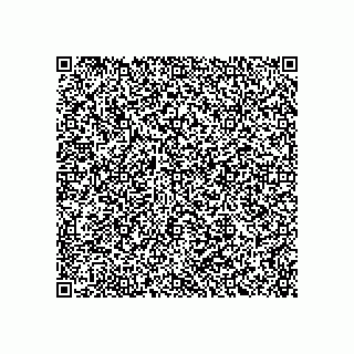 vCard 79038404133