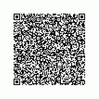 vCard 79039000521