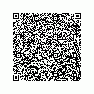 vCard 79039001029