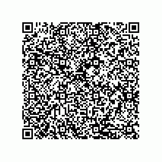vCard 79039001033