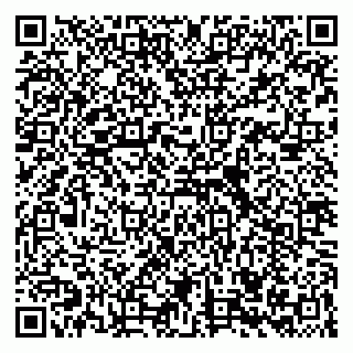 vCard 79039250253