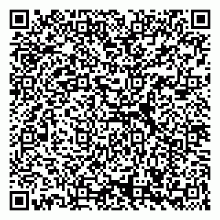 vCard 79039250378
