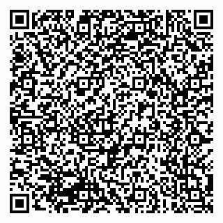 vCard 79039400353