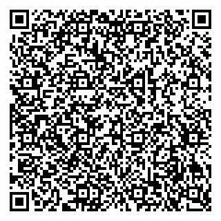 vCard 79039400511