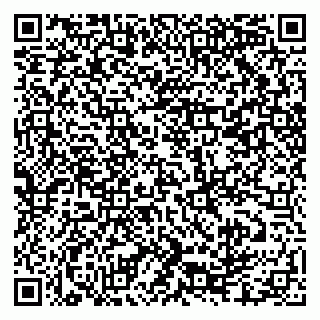vCard 79039400520