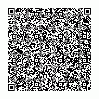 vCard 79039685098
