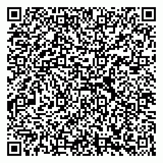 vCard 79039800132