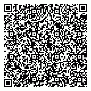 vCard 79039800133