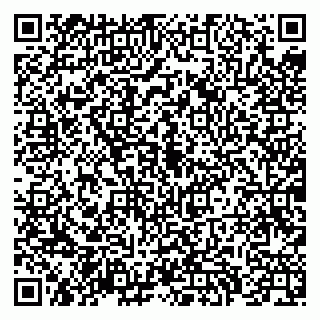 vCard 79039800173