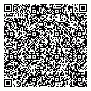 vCard 79039800181