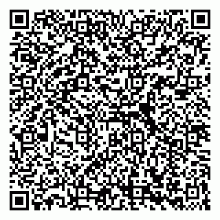 vCard 79039800219