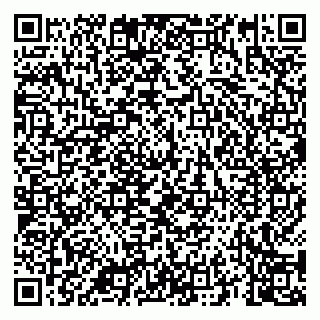 vCard 79039800295