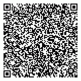 vCard 79039800308