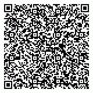 vCard 79039800313