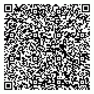 vCard 79039800328