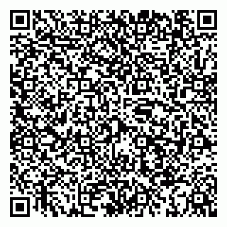 vCard 79039800331