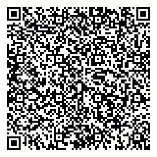 vCard 79039800337