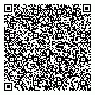 vCard 79039800369