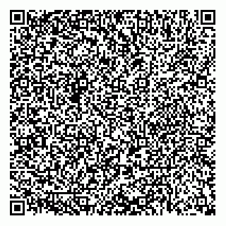 vCard 79040332299
