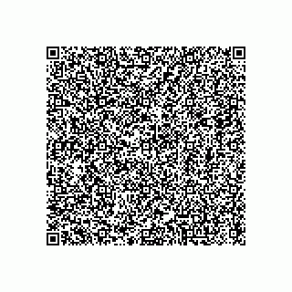 vCard 79040335074