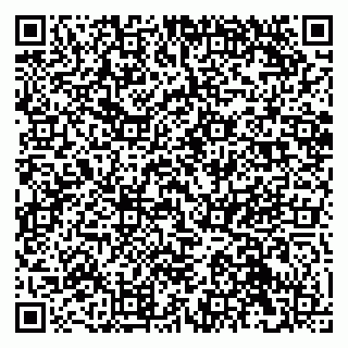vCard 79041099002