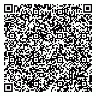 vCard 79041099010
