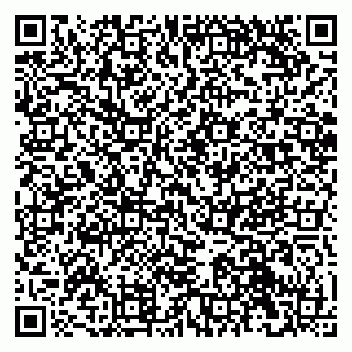 vCard 79041099011