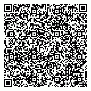 vCard 79041099022