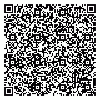vCard 79041099031