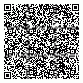 vCard 79041099032