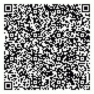 vCard 79041099033