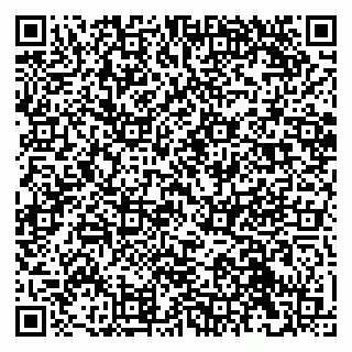 vCard 79041099070