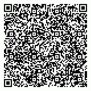 vCard 79041099073