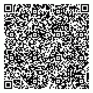 vCard 79041099139